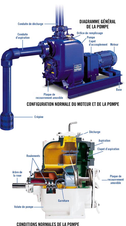 Schéma général de la pompe, configuration typique de la pompe et du moteur et conditions normales de la pompe